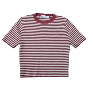 ZARA Burgundy Red and Light Green Striped Rib Knit Crop Tee M